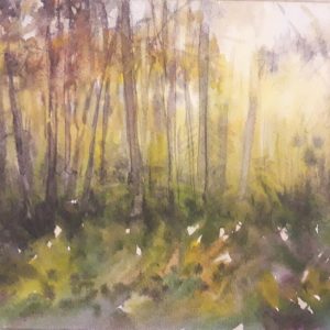 Balade en forêt à Paris