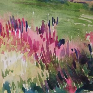 Fleurs du jardin